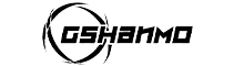 Guangzhou Gesai Intelligent Electronic Technology Co., Ltd.